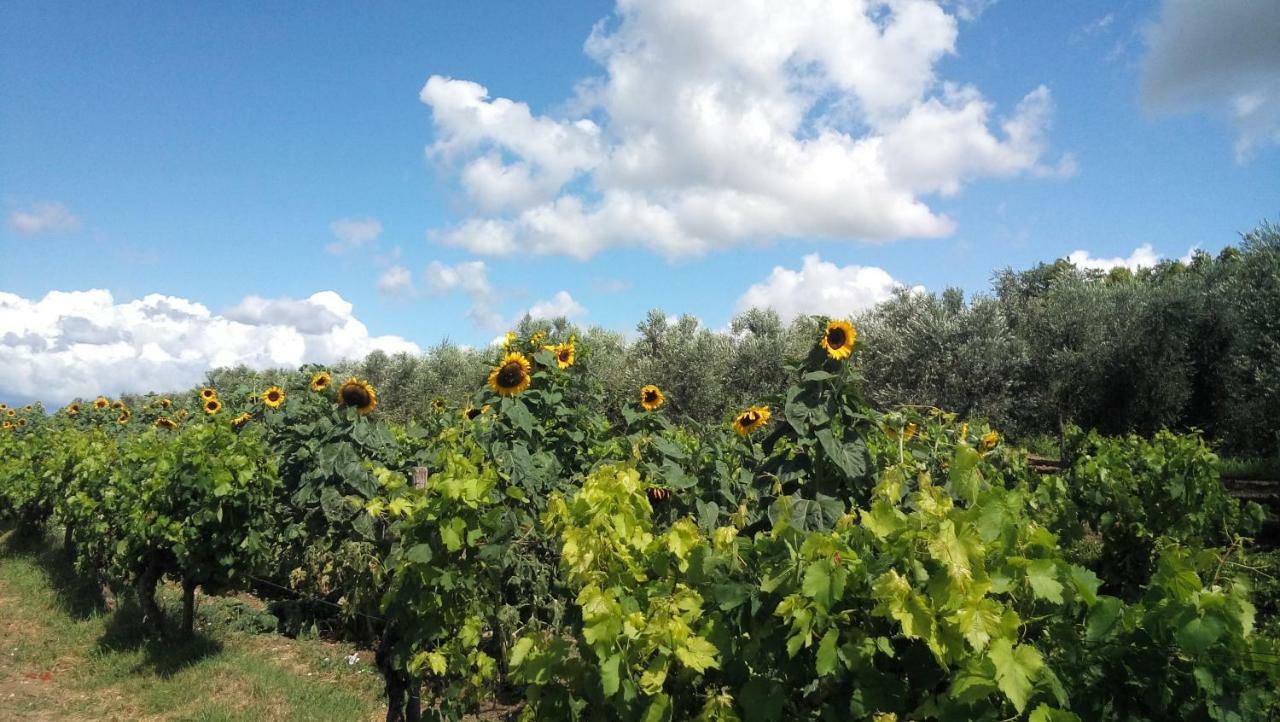 بوجي Rooms Agroturizam Romano المظهر الخارجي الصورة