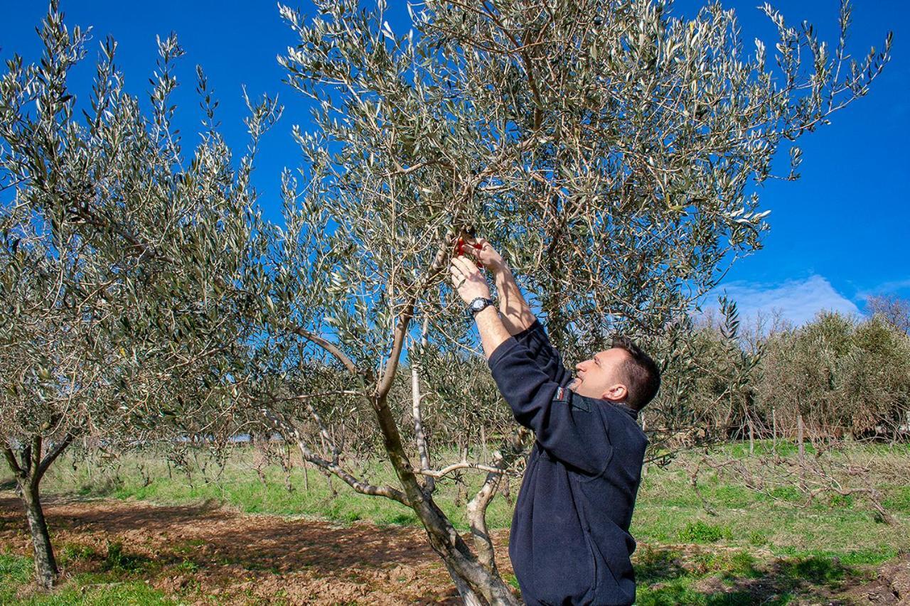 بوجي Rooms Agroturizam Romano المظهر الخارجي الصورة